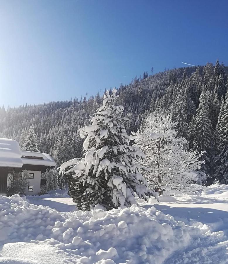 Pension Walchauhof Flachau Buitenkant foto