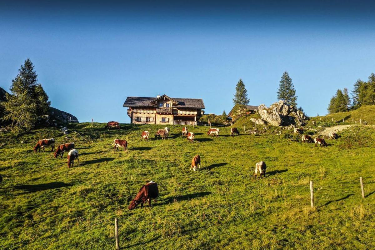 Pension Walchauhof Flachau Buitenkant foto